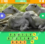 1 Pic 3 Words Level 186 answers cheats, solutions, walkthrough for 1 pic 3 words level 186