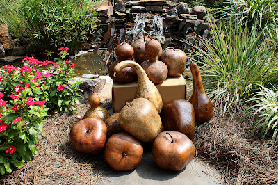 Southern Lagniappe: Decorating with Gourds