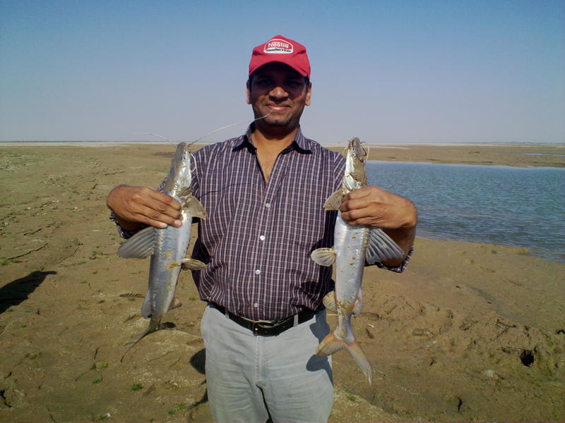 Fishing In Pakistan Fishing In Pakistan (Rohail Khan)