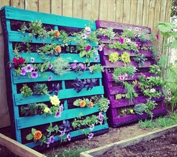 What Appeals To Me Most About This Project Is The Way Grow A Few Select Herbs Veggies And Succulents Without Having Dig Up My Yard What Appeals To Me Most About This Project Is The Way Grow A Few Select Herbs Veggies And Succulents Without Having Dig Up My Yard