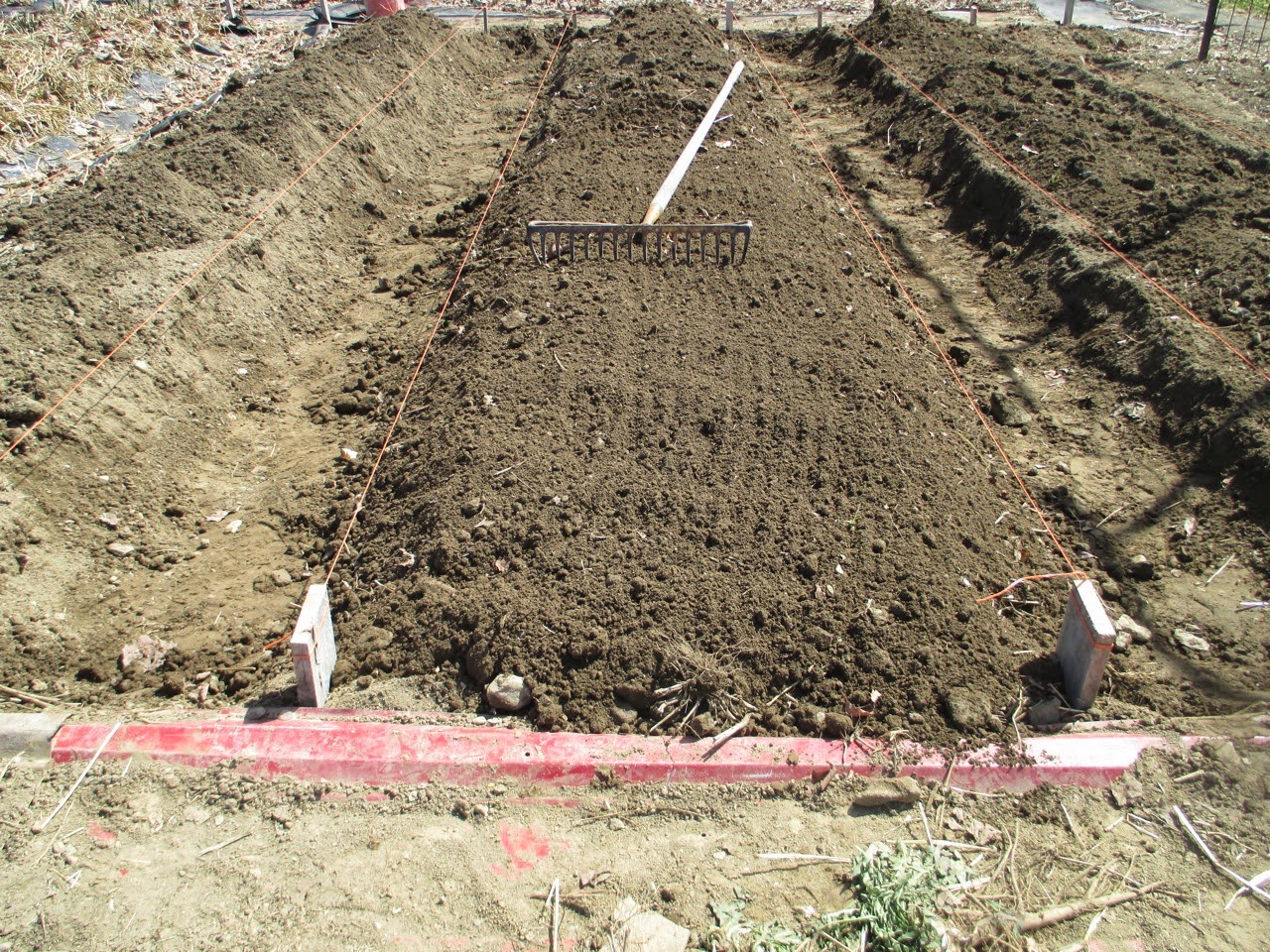 The Deliberate Agrarian StepByStepRaised Garden Beds