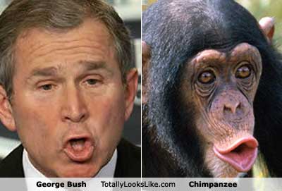 bush+chimp.jpg