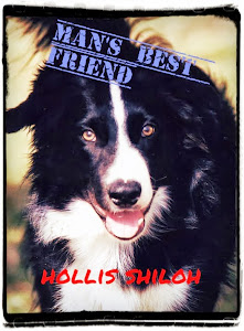 Free story - Man's Best Friend