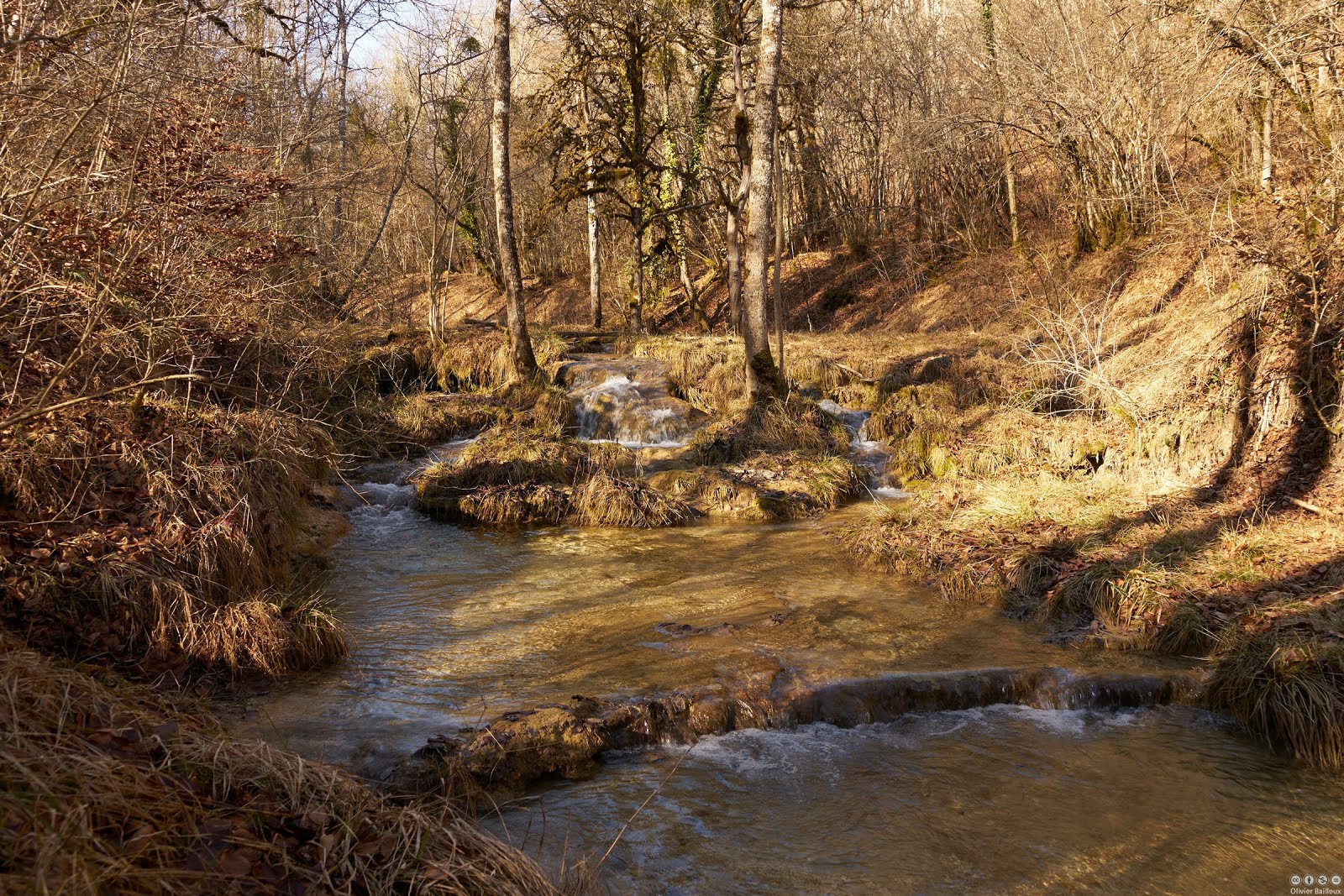 Le ruisseau