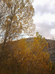 MIS FOTOS OTOÑALES DE LA ZONA DE BURGO DE OSMA (SORIA)