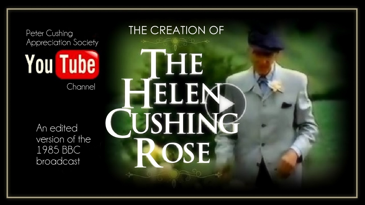 THE STORY OF THE HELEN CUSHING ROSE