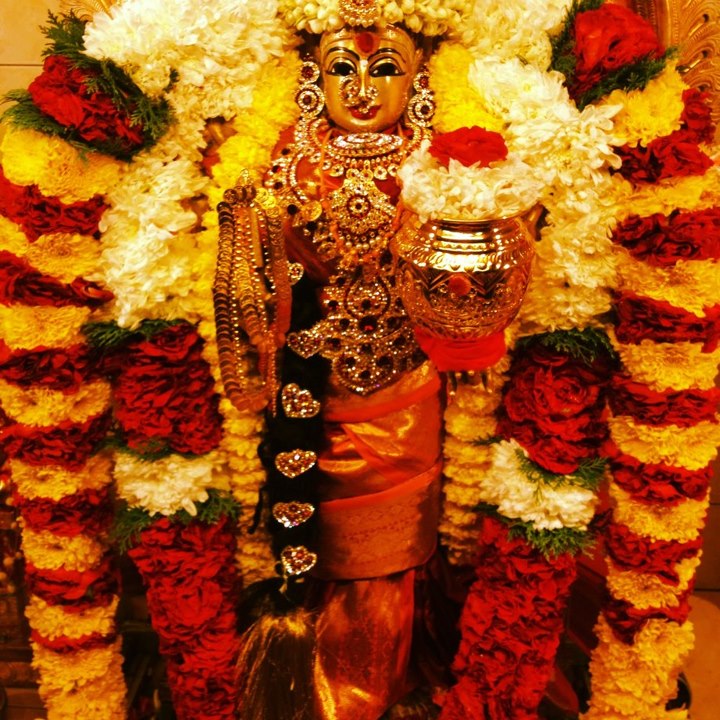 Goddess Sri Mahalakshmi