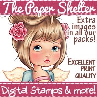 The Paper Shelter