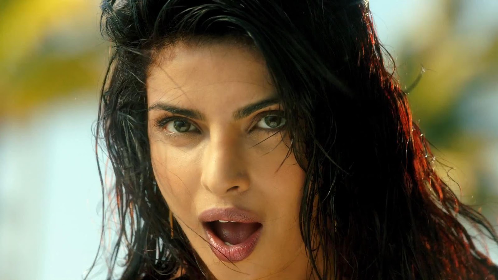 priyanka chopra wallpapers