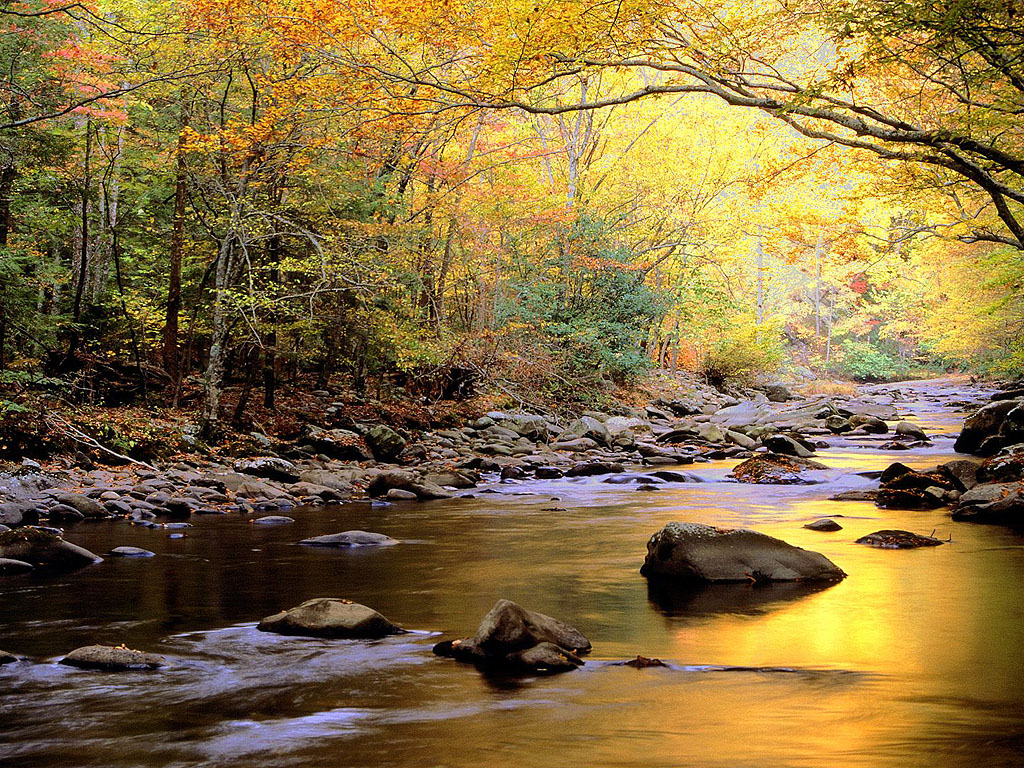 http://4.bp.blogspot.com/-uU7VHBS1sfk/T9cchCuY8DI/AAAAAAAABAU/wLlf81yP4B0/s1600/Beautiful%20River%20Wallpaper%20(11).jpg