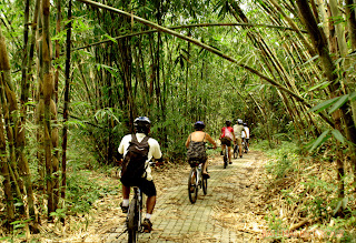 Bali Countryside Cycling Tour - bamboo forest cycling track Bali Countryside Cycling Tour - bamboo forest cycling track.jpg