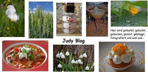 Judy Blog