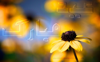 Eid Ul Adha Zuha Mubarak Flowers Wallpapers Greeting Cards in Urdu 007