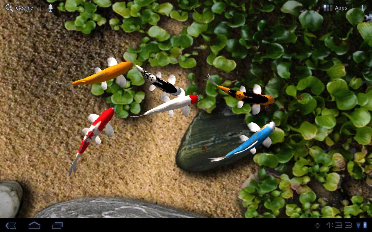 http://4.bp.blogspot.com/-uUpSQyodLyI/TmSEUlVchsI/AAAAAAAABvQ/nLAfurCogYI/s1600/Koi%2BFree%2BLive%2BWallpaper.jpg