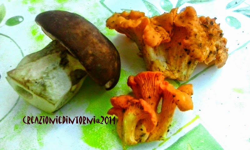 cepes et girolles in agosto cepes et girolles in agosto