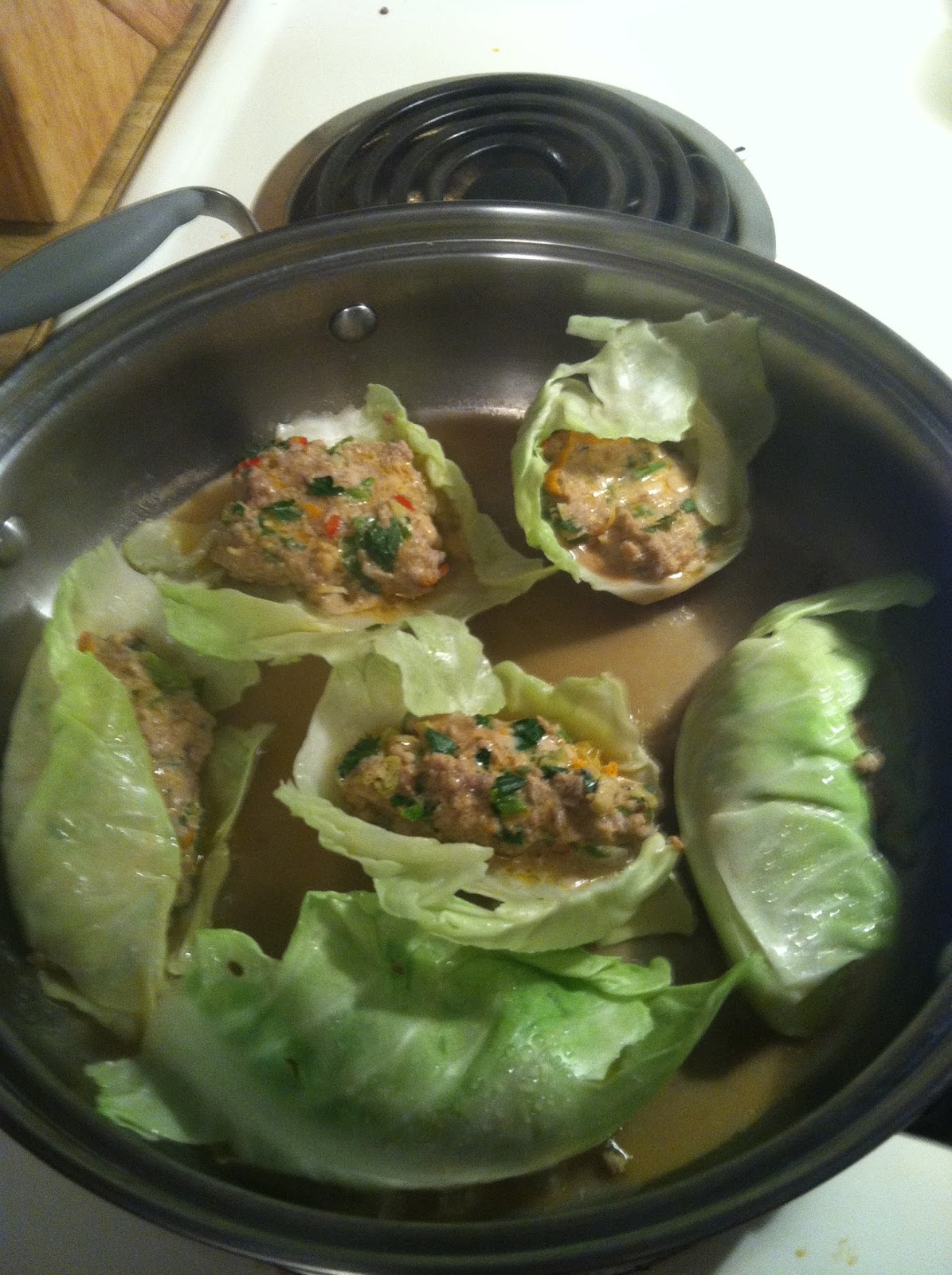 The Frugal Aesthetic Alternative Thai Dumplings Cabbage Wrapped