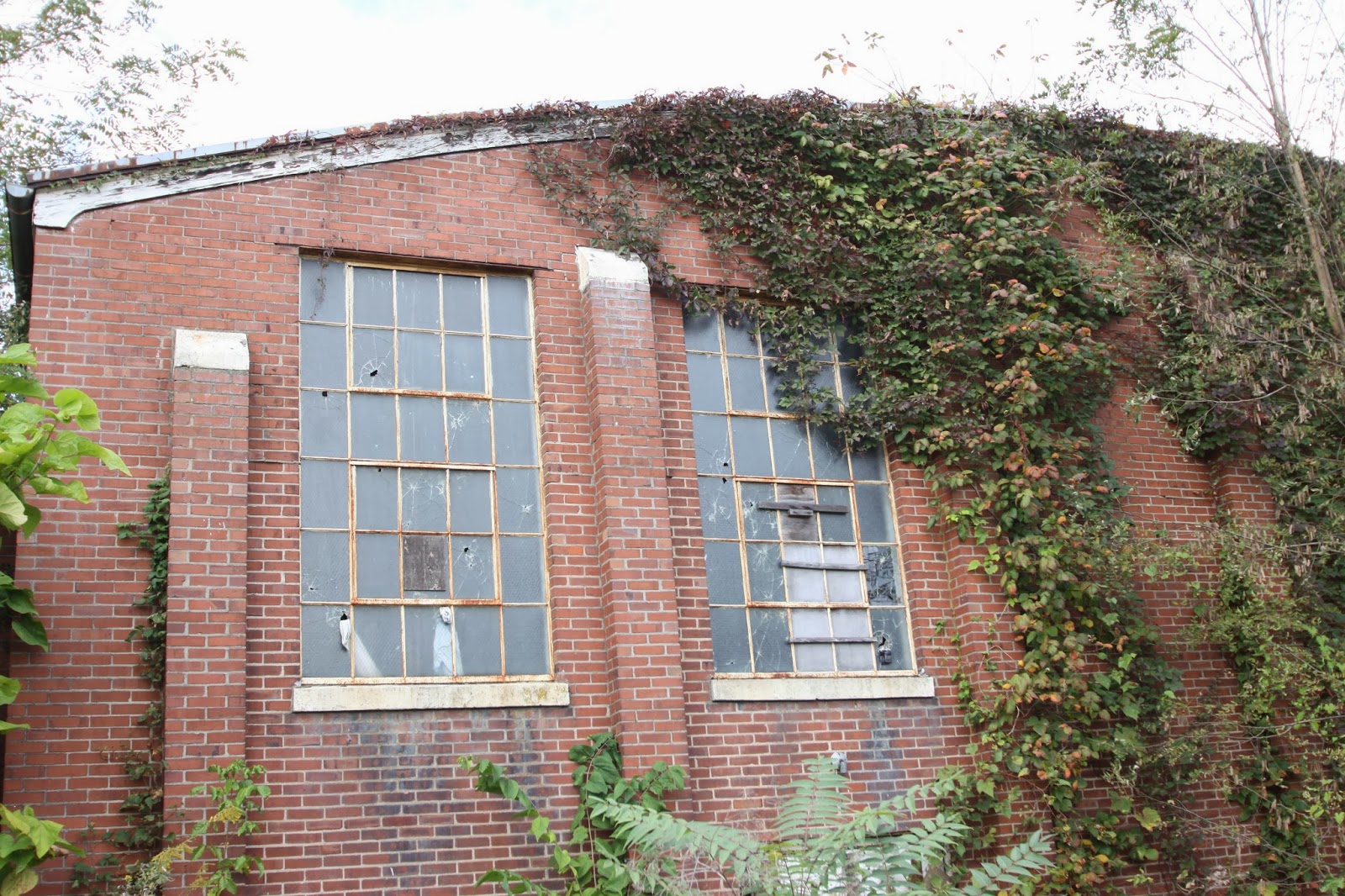 BlueEyed Kentucky Sadieville School