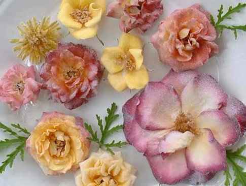 Violet Flower Picture on Ingredients Petals From Any Edible Flower These Flowers May Be Safely