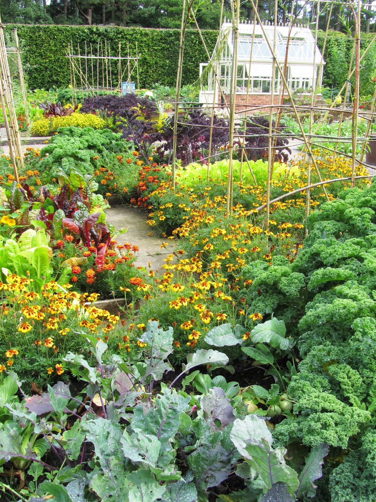 Gemüsegarten Garten, Bauerngarten, Gartenprodukte