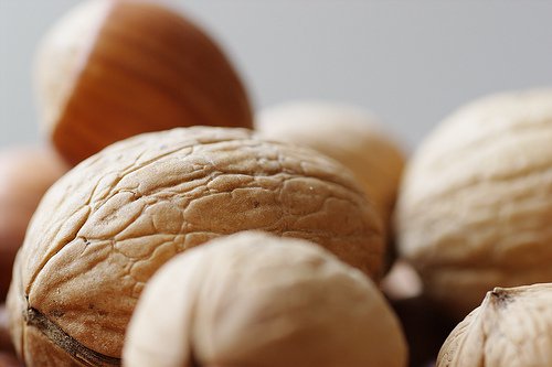 Des solutions naturelles pour traiter l'herpès labial Des solutions naturelles pour traiter l'herpès labial