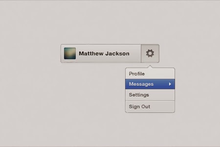 User Button User Button