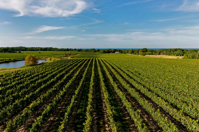 Chi viaggia impara Immagini dal mondo Ungheria (U)