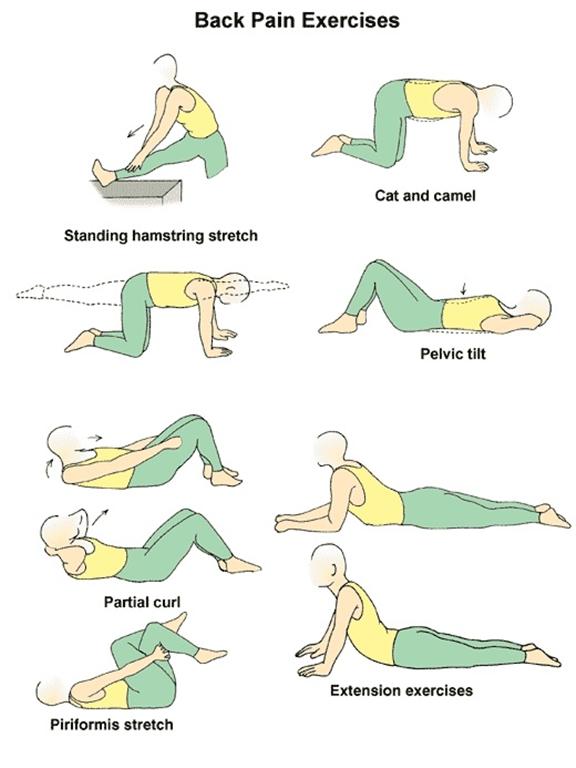 back-pain-stretches.jpg