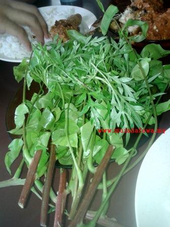 ulam raja Ulam raja, Restoran Nasi Ulam Cikgu, Restoran Makanan Kampung