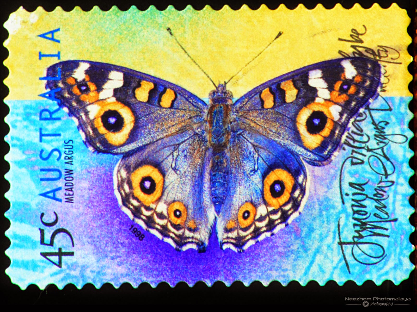 Australia 1998 Butterflies stamps Stamps Gallery