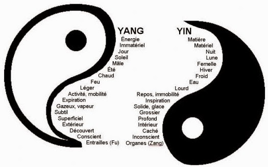 http://4.bp.blogspot.com/-uXY25DPL7sA/VPyspDy0h8I/AAAAAAAADyw/mF7L0-OHCBY/s1600/yin+yang+explication.jpg