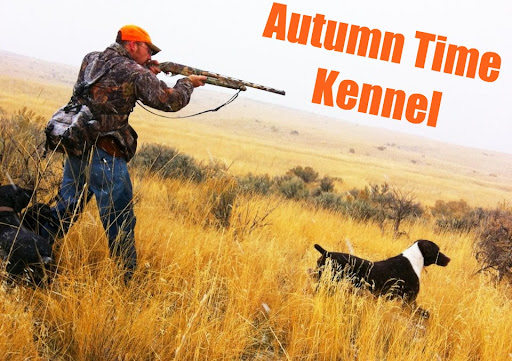 Autumn Time Kennel