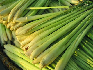 Manfaat Tumbuhan Serai Untuk Kesehatan ibu di dapur ini ternyata tidak hanya berfungsi sebagai bumbu di dapur Manfaat Tumbuhan Serai Untuk Kesehatan