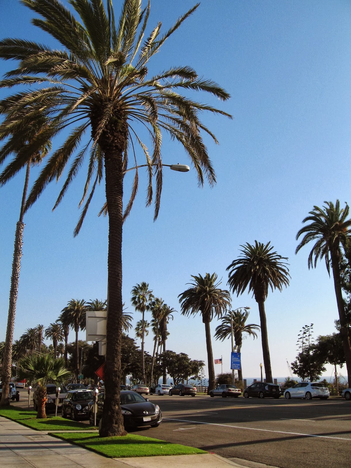 According to BRASWELL Flowers + Santa Monica, CA