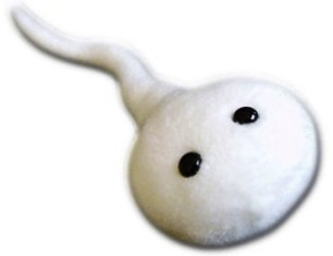 ini adalah encik sperma kacak kan? heheh