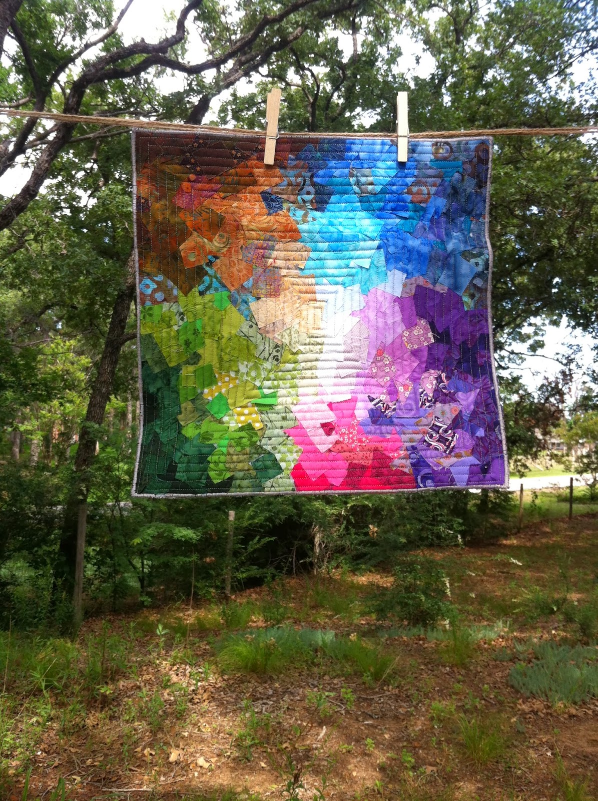 Sew Darn Cute Quilting Color Wash Quilting