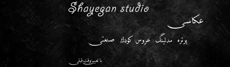 Shayegan Studio