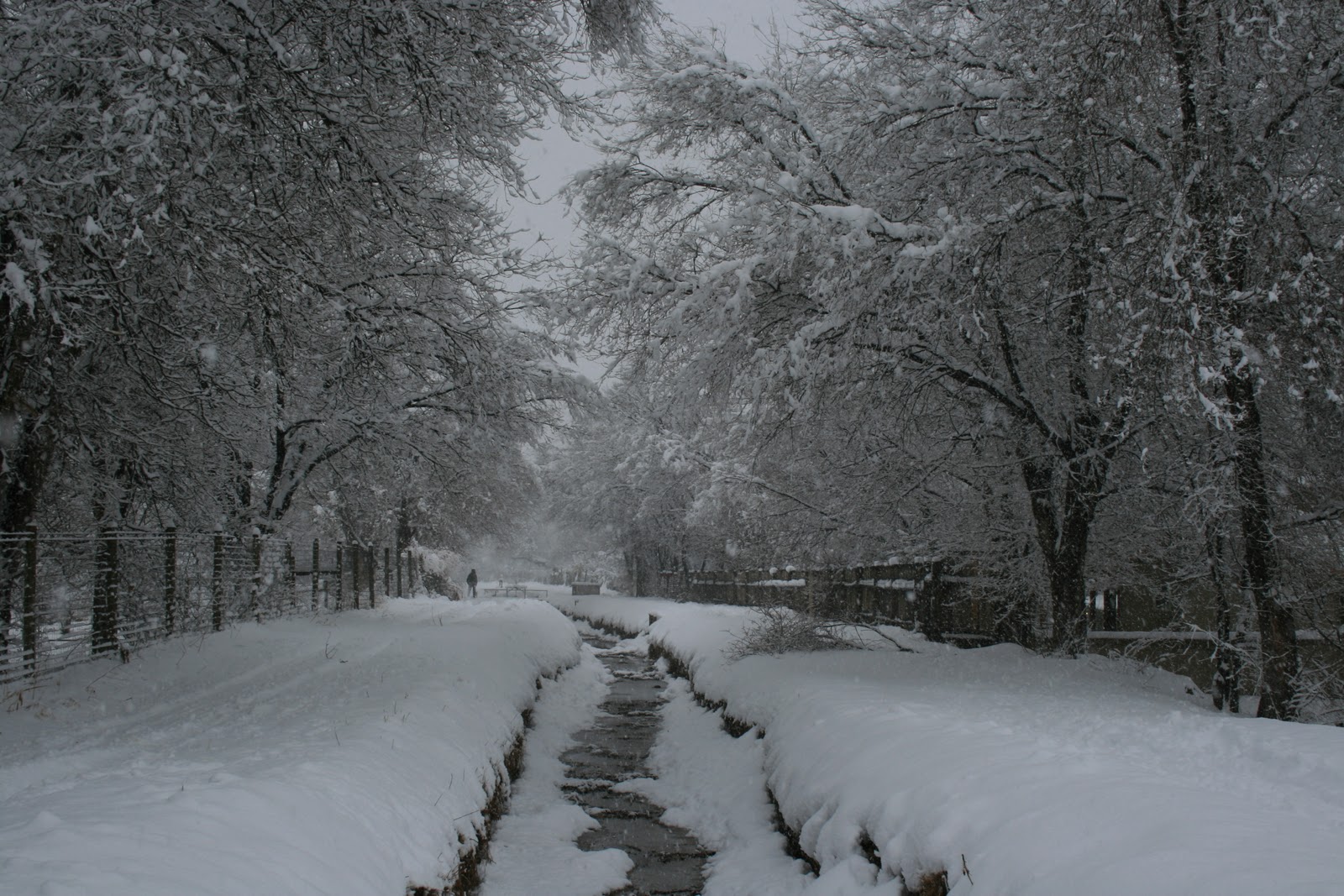 Miriam Hall Photography The North Valley of Albuquerque in Winter