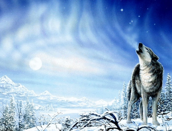 HD-Wolf-Howling.jpg