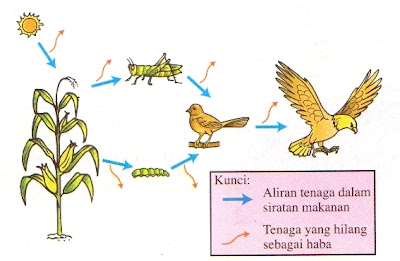 Aliran Tenaga Dalam Siratan Makanan