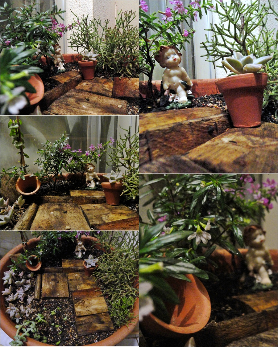 Esse passo a passo do mini jardim tirei desse blog aqui! É ótimo Esse passo a passo do mini jardim tirei desse blog aqui! É ótimo