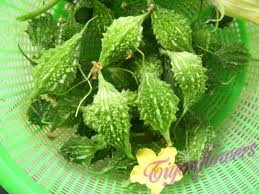 Mướp đắng khổng lồ