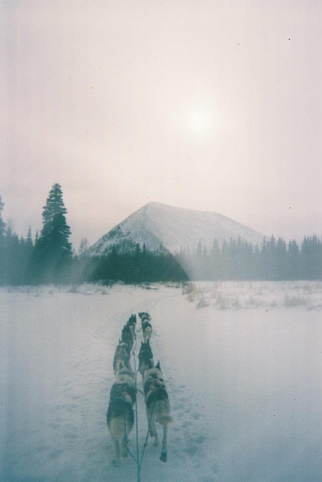 Lisbet Norris Anadyr Siberians Blog XI. The Kaltag Portage