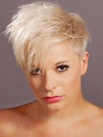 Tunsori pixie 2012