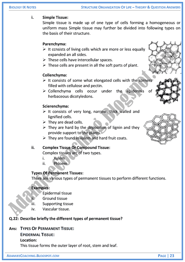 structural-organization-of-life-theory-notes-and-question-answers-biology-notes-for-class-9th