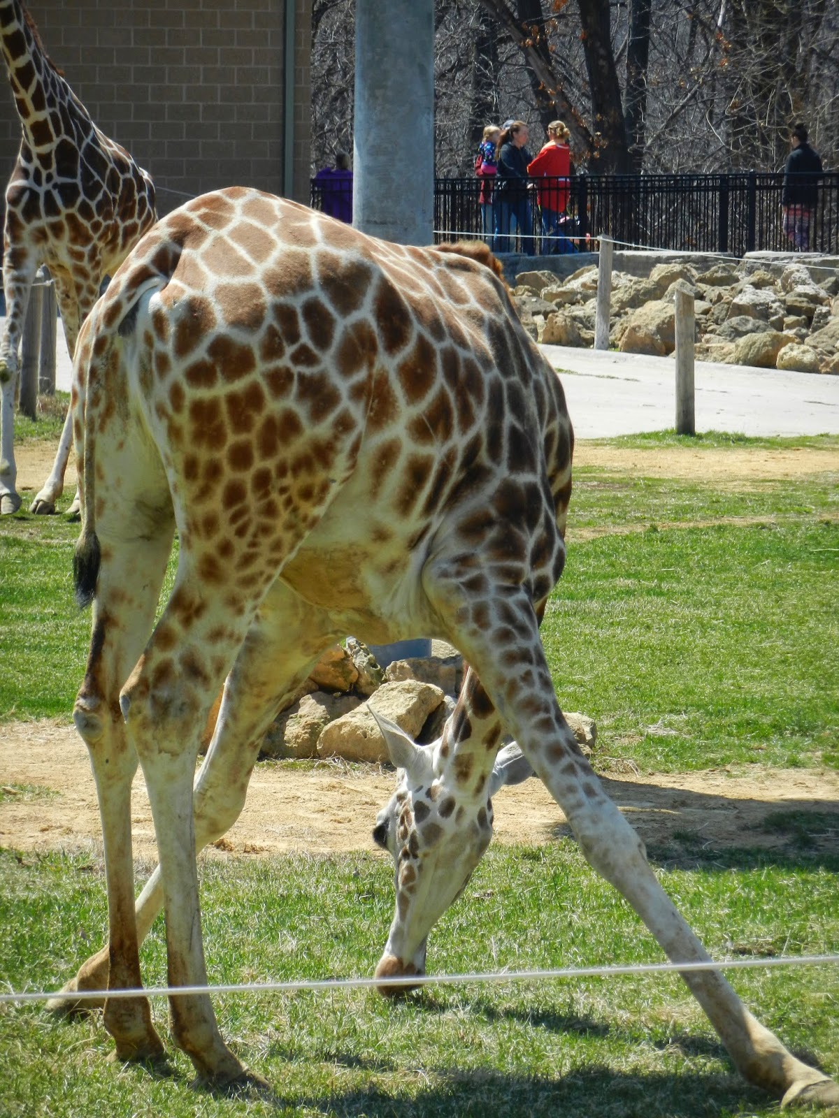 Niabi Zoo Quad Cities Niabi Zoo Quad Cities
