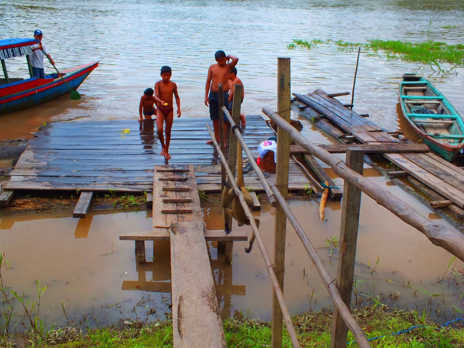 A Journey of 10,000 Miles to Antarctica La Isla de Los monos (monkey
