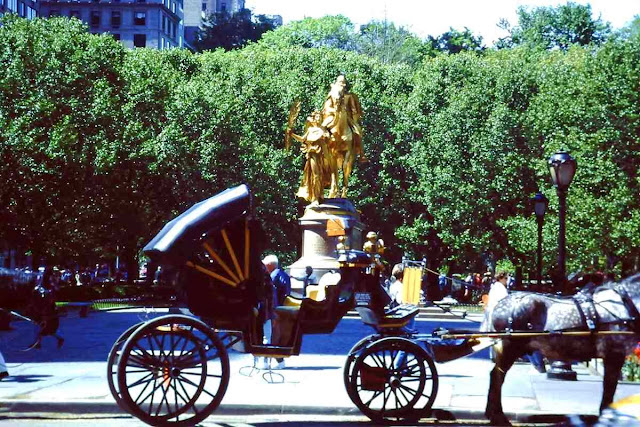 Horse-drawn carriages at Central Park in New York for children