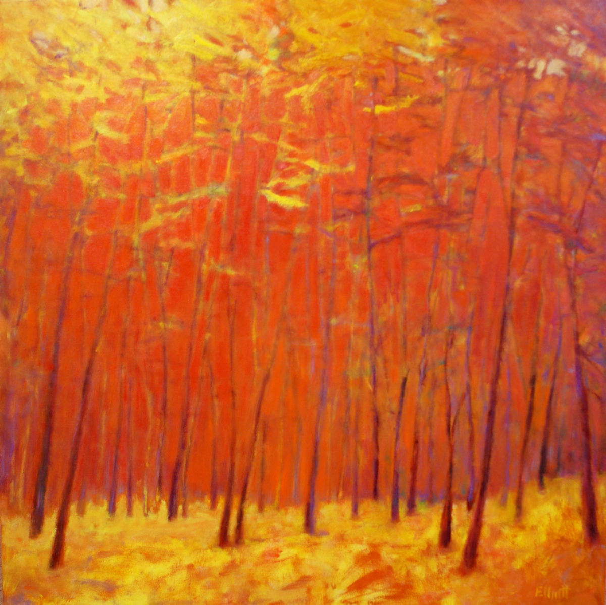 Ken Elliott / For the Color video making the perfect semi