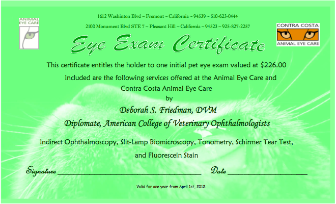 Dog Eye Test Certificate Dog Eye Test Certificate