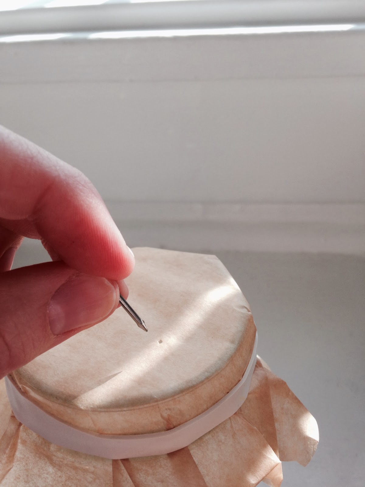 Meg's Musings DIY Room Deodorizer